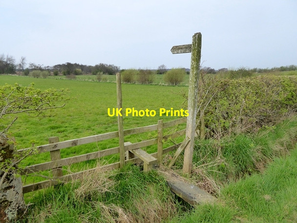 Photo 6"x4" Footpath to Rogersceugh Bowness-on-Solway c2017