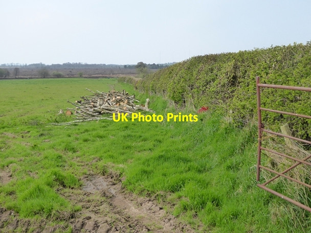 Photo 6"x4" Hedgerow and pile of logs Bowness-on-Solway c2017