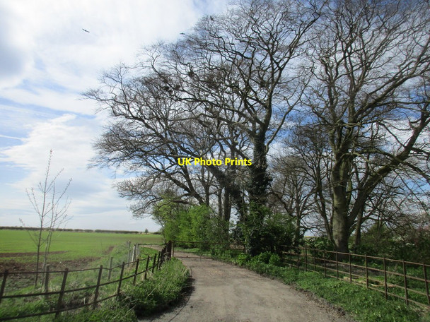 Photo 6"x4" Entrance to Cliff House Farm Hackthorn\/SK9982 c2017