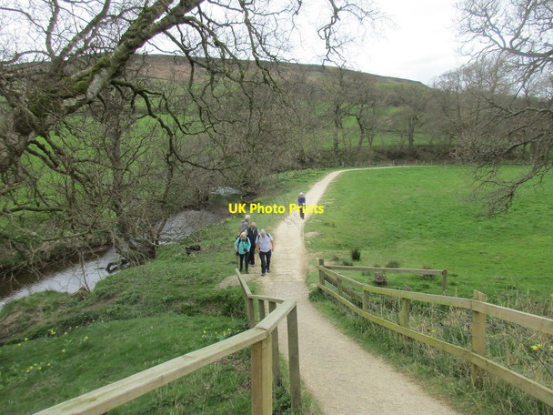 Photo 6"x4" Riverside path, Farndale Low Mill\/SE6795 c2017