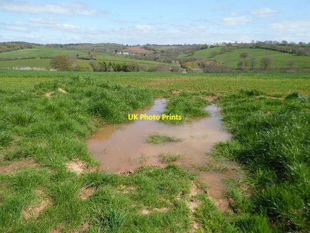 Photo 6"x4" Field to the north of Pencarreg Farm Kingcoed c2017