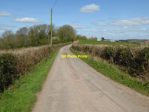 Photo 6"x4" Road approaching Pencarreg Farm Treworgan Common c2017