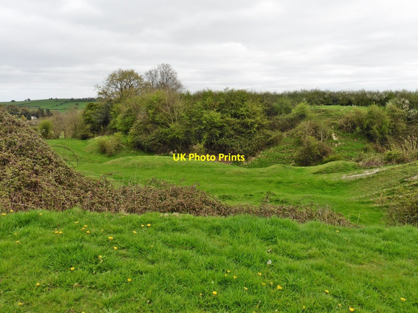 Photo 6"x4" Site of former quarry, south of Combe St Nicholas Scrapton c2017