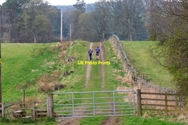 Photo 6"x4" Track near Barns Barns\/NT2139 c2017