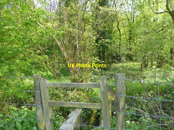 Photo 6"x4" Footpath entering woodland by stile Ellen's Green c2017