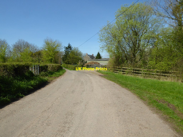 Photo 6"x4" Country road passing Twyn-yr-argoed Raglan c2017
