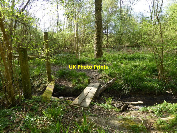 Photo 6"x4" Plank bridge over stream to bridleway Walliswood c2017