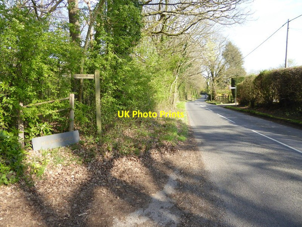 Photo 6"x4" Looking eastwards along Horsham Lane from footpath junction Walliswood c2017