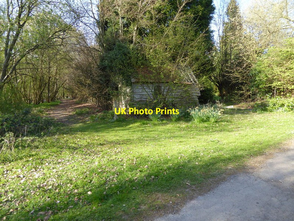 Photo 6"x4" Wooden building at fork in footpath Walliswood c2017