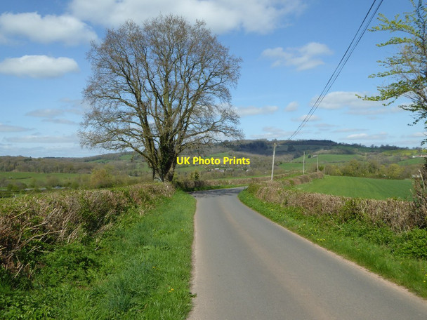 Photo 6"x4" Country road above the Trothy valley Jingle Street c2017