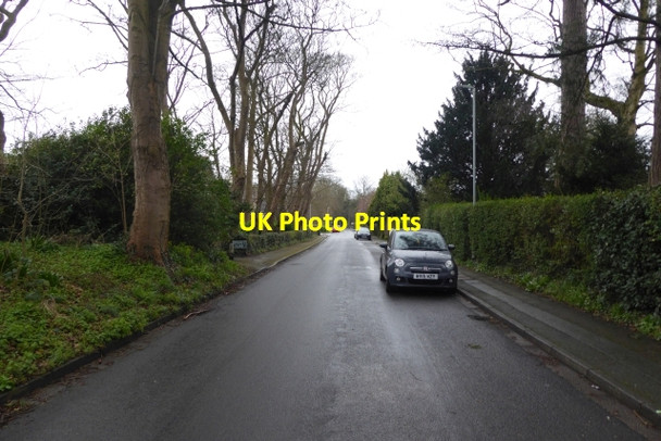 Photo 6"x4" Along Sagars Road Handforth c2017