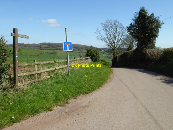 Photo 6"x4" Road to Hygga Llanishen\/SO4703 c2017