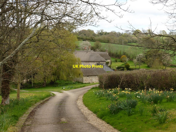 Photo 6"x4" Membury Court Membury\/ST2703 c2017