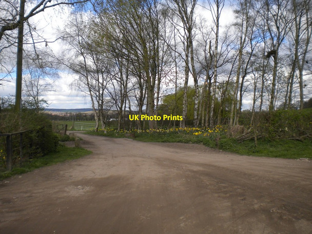Photo 6"x4" Goosedale Lane near Hilltop Farm Bestwood Village c2017