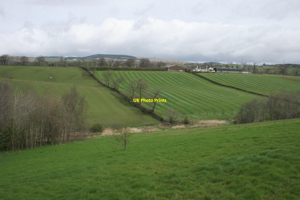 Photo 6"x4" Fields beside Cleddans Farm Bearsden c2017