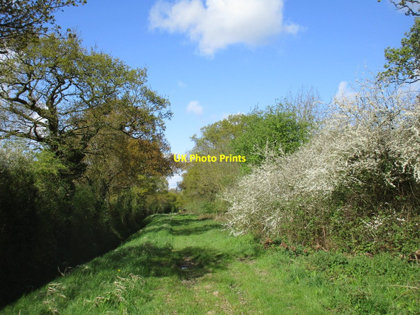 Photo 6"x4" Inner Moor Lane Woodhall\/SE6931 c2017
