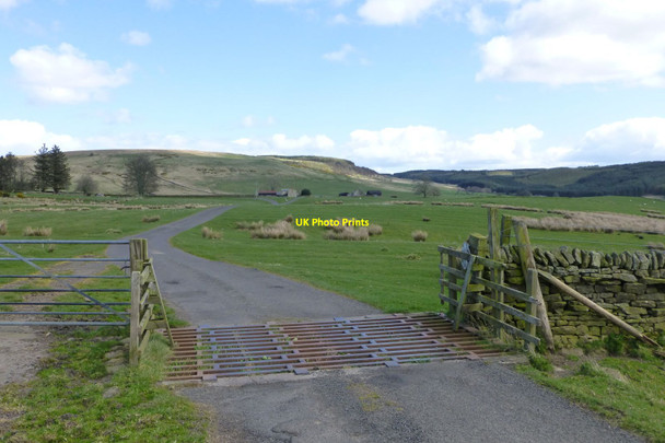 Photo 6"x4" Cattle grid on road to Lanshot Elsdon\/NY9393 c2017