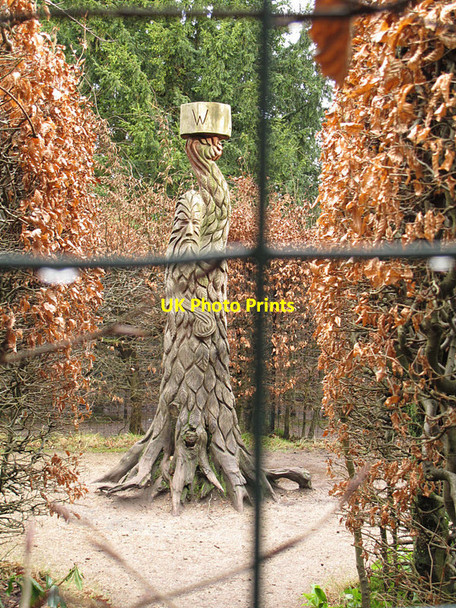 Photo 6"x4" The maze in Tatton Park - looking into the centre Tatton Dale c2015