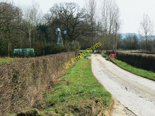 Photo 6"x4" South along Olivemead Lane, Dauntsey Dauntsey c2009