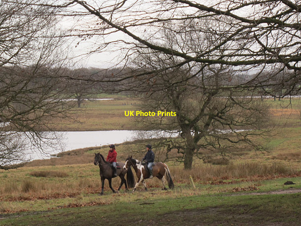 Photo 6"x4" Horse riders near Melchett Mere in Tatton Park  Tatton Dale c2015