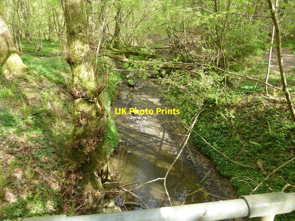 Photo 6"x4" Stream in woodland seen from footbridge Paynes Green c2017