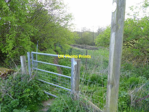 Photo 6"x4" Enclosed bridleway from field heads towards Standon Lane Okewood Hill c2017