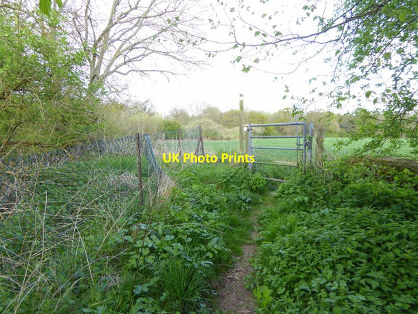 Photo 6"x4" Enclosed bridleway from Standon Lane reaches gate into field Okewood Hill c2017