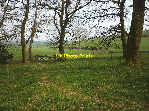 Photo 6"x4" Footpath in Bleasehall Wood Halfpenny c2017