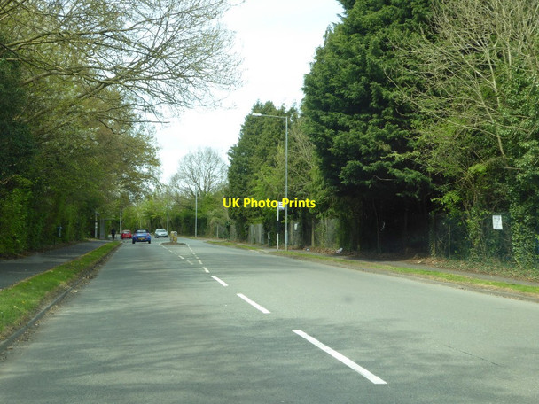 Photo 6"x4" Studley Road Redditch c2017