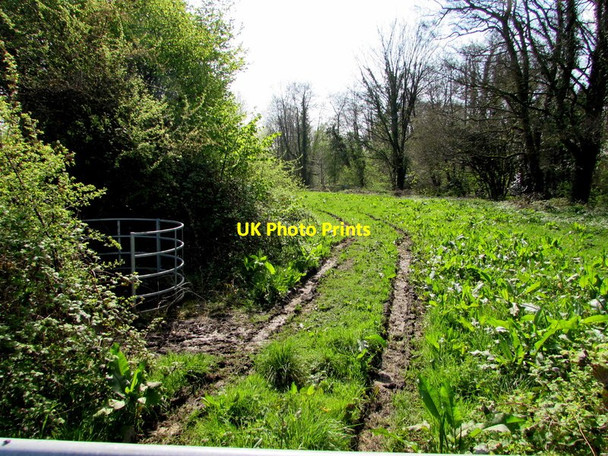 Photo 6"x4" Twin tracks through a field near Cwmbran Boating Lake  Cwmbran\/Cwmbr\u00e2n c2017