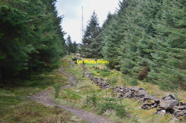Photo 6"x4" Path to summit, Dunslair Heights Williamslee c2017