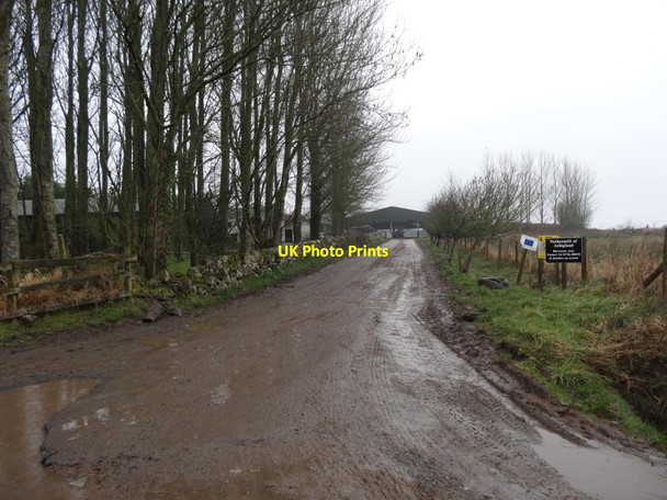 Photo 6"x4" Driveway into Nethermill Farm Kirkbean c2017