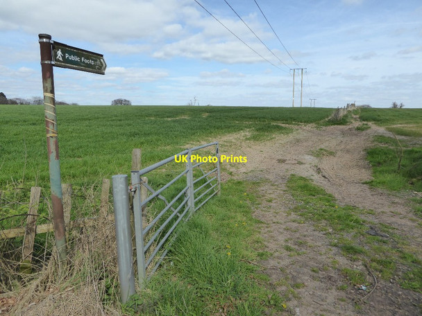 Photo 6"x4" Footpath off Hewell Lane Bank's Green c2017