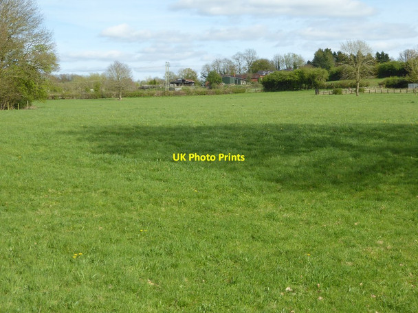 Photo 6"x4" Field at Springhill Farm Webheath c2017