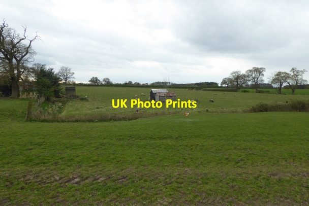 Photo 6"x4" Sheep and chickens Elvington\/SE7047 c2017