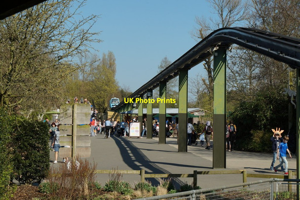 Photo 6"x4" Monorail at Chester Zoo Moston\/SJ4070 c2017
