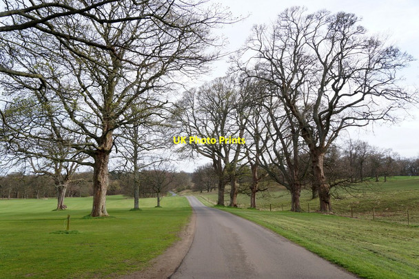 Photo 6"x4" Road on the Dalmeny Estate Craigiehall\/NT1675 c2017