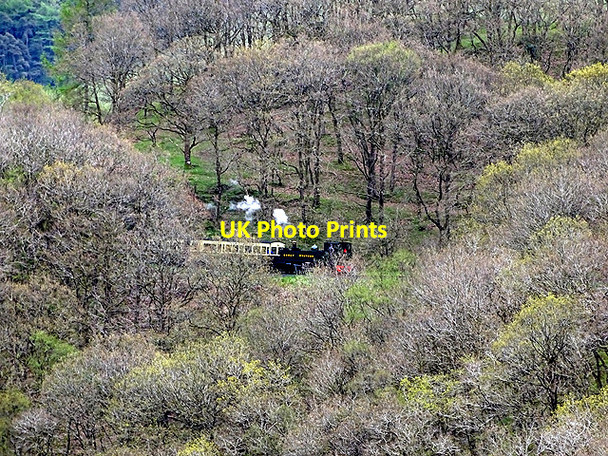 Photo 6"x4" Train in the trees Devil's Bridge\/Pontarfynach c2017