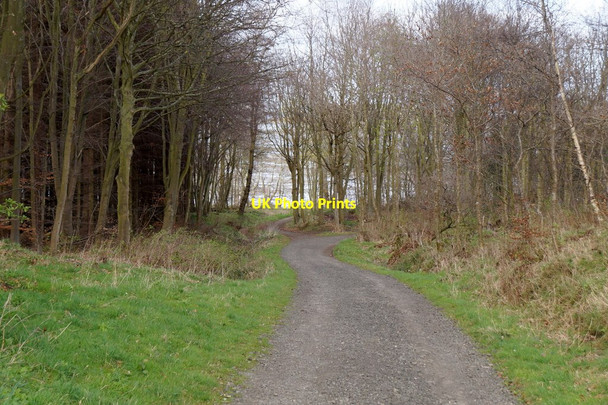 Photo 6"x4" John Muir Way on the Dalmeny Estate Cramond c2017