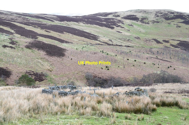 Photo 6"x4" Sheepfold, Dryhope Dryhope c2017