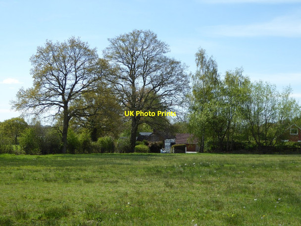 Photo 6"x4" Trees and cottage on Broadmoor Common Broadmoor Common c2017