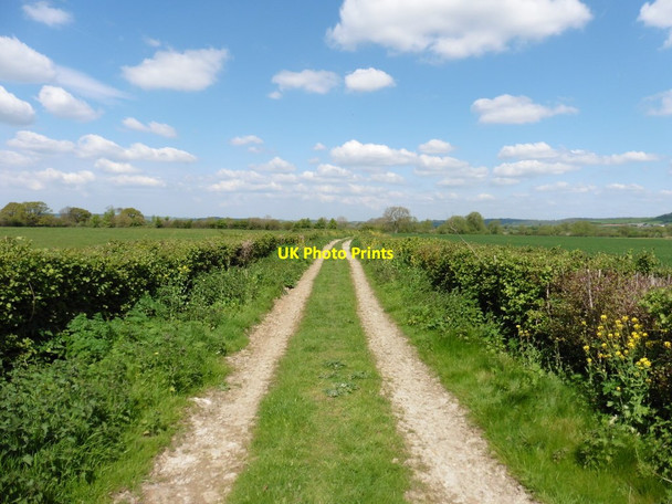 Photo 6"x4" Track to Park Bridge Somerton\/ST4828 c2017