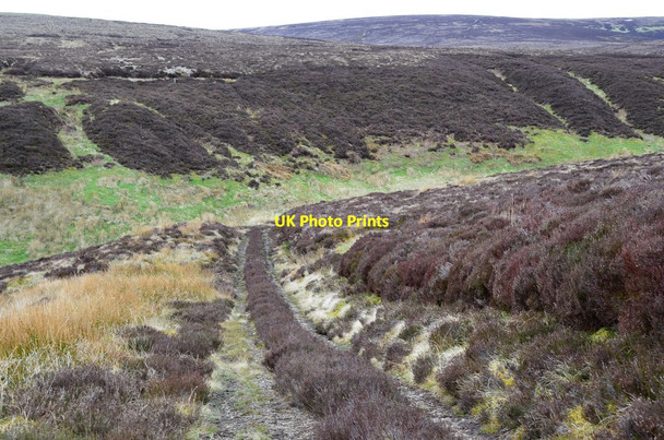 Photo 6"x4" Track at Gorbon's Cleuch Cappercleuch c2017