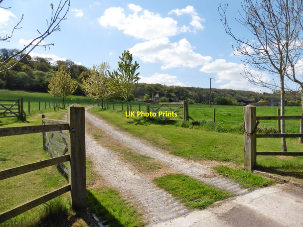 Photo 6"x4" Track to Park Farm Somerton\/ST4828 c2017