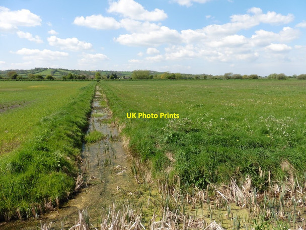 Photo 6"x4" Rhyne on Somerton Moor Park\/ST4530 c2017