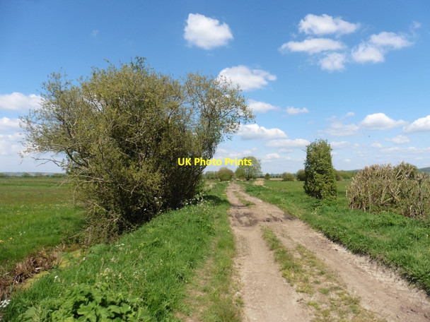 Photo 6"x4" Walton Drove Park\/ST4530 c2017