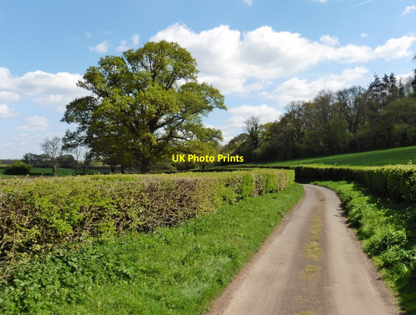 Photo 6"x4" Bend on Huish Road Somerton\/ST4828 c2017