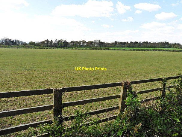 Photo 6"x4" Field on Kingsdon Hill Somerton\/ST4828 c2017