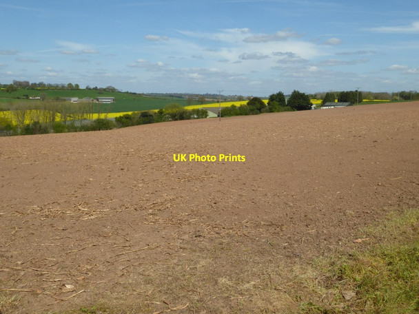 Photo 6"x4" Farmland at Marsh Court Pencombe c2017