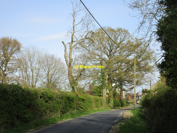 Photo 6"x4" Entering Crowfield Crowfield\/SP6141 c2017